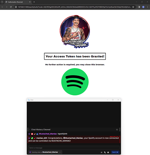 Granting access to Streamer.bot for Spotify extension